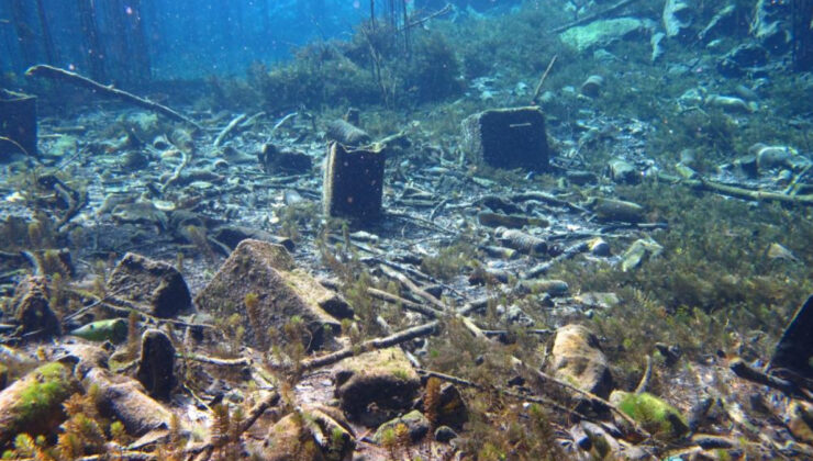 Antalya Körfezi’nde çevre felaketi yakın: Kirlilik gözle görülür hale geldi