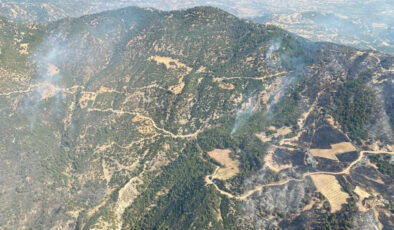 Aydın’daki orman yangını devam ediyor: 3’üncü güne girildi