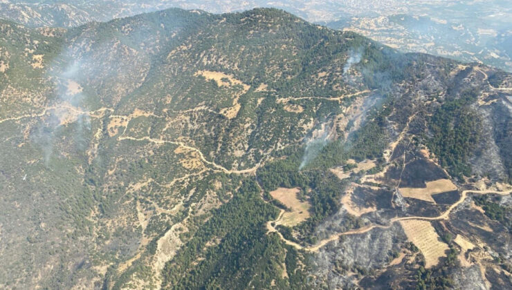 Aydın’daki orman yangını devam ediyor: 3’üncü güne girildi