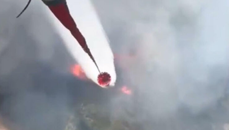 Balıkesir’de orman yangını çıktı