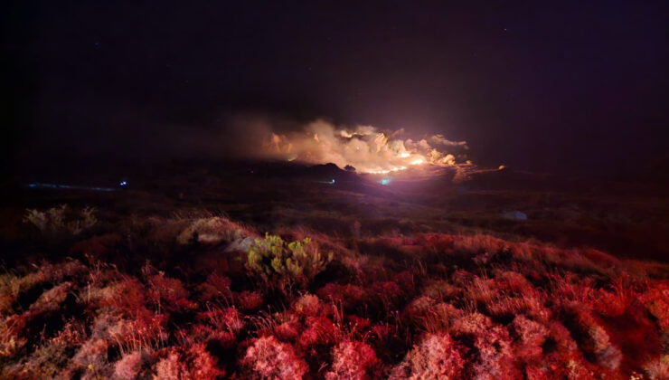 Balıkesir’in Marmara Adası’nda orman yangını