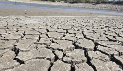 Bursa’da Çınarlı Göleti Kuruyor: Vahşi Sulama ve Kuraklık Felaketi
