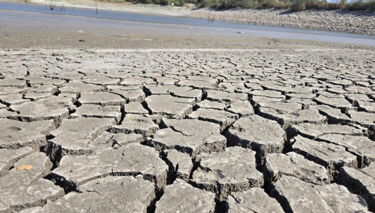 Bursa’da Çınarlı Göleti Kuruyor: Vahşi Sulama ve Kuraklık Felaketi