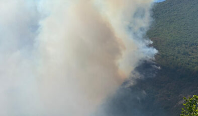 Bartın’da ormanlık alanda çıkan yangına müdahale ediliyor