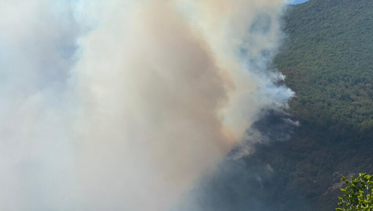Bartın’da ormanlık alanda çıkan yangına müdahale ediliyor
