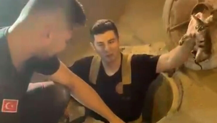 Bursa’da ilginç bir kedi kurtarma operasyonu