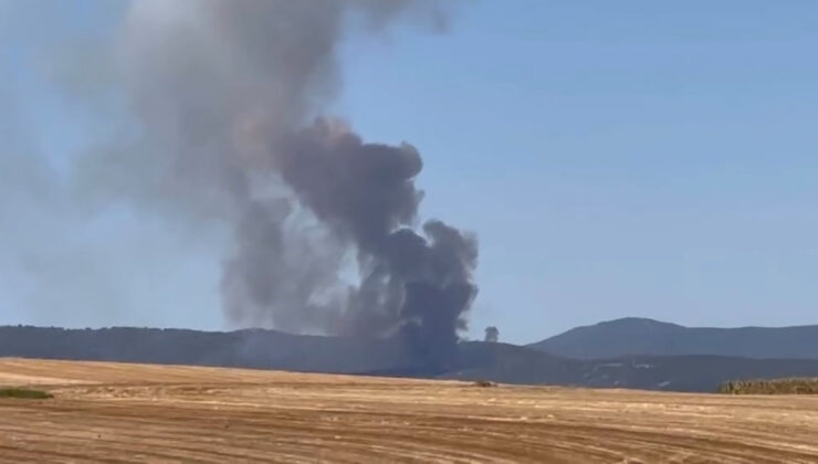 Bursa’da ormanlık alanda yangın çıktı