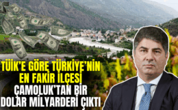 Türkiye’nin En Fakir İlçesi Çamoluk’tan Dolar Milyarderi Çıktı
