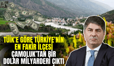 Türkiye’nin En Fakir İlçesi Çamoluk’tan Dolar Milyarderi Çıktı