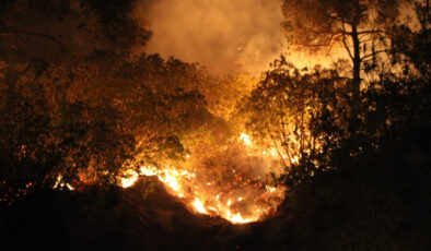 Çanakkale’de orman yangınında son durum: Tahliyeler sürüyor