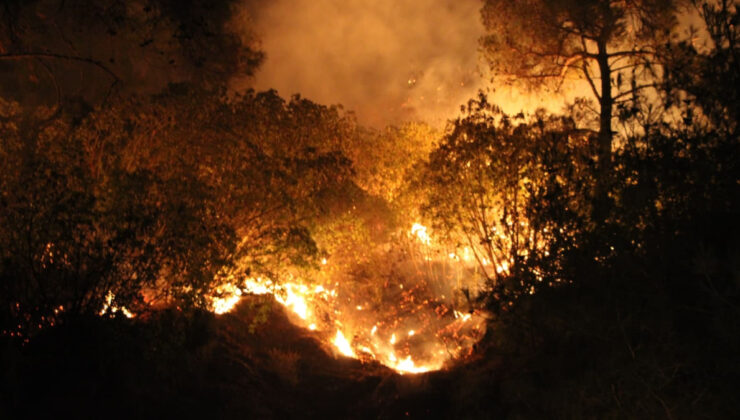 Çanakkale’de orman yangınında son durum: Tahliyeler sürüyor