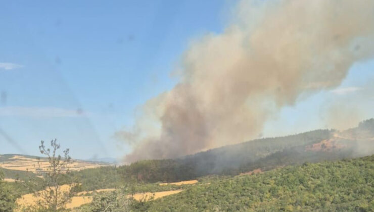 Çanakkale’de ormanlık alanda çıkan yangına müdahale ediliyor