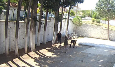 Denizli’de Belediye Başkanı taş döşemek istemeyen zabıtaları sopayla dövdü