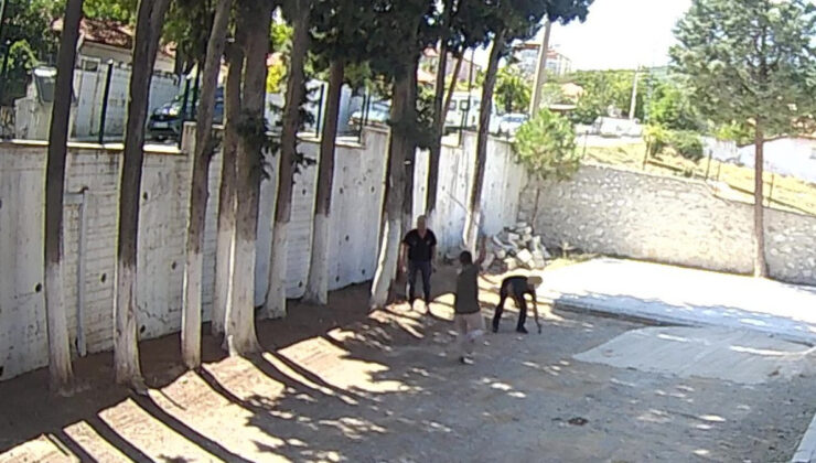 Denizli’de Belediye Başkanı taş döşemek istemeyen zabıtaları sopayla dövdü