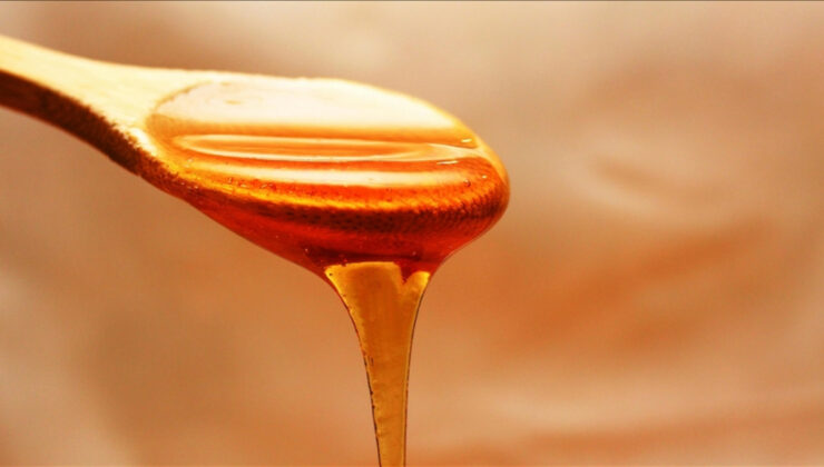 Doğu Karadeniz’den 11 ülkeye bal ihracatı