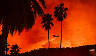 Dünya Meteoroloji Örgütü: Avrupa’daki orman yangınları insan kaynaklı