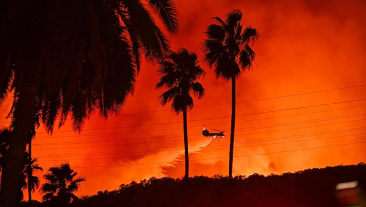 Dünya Meteoroloji Örgütü: Avrupa’daki orman yangınları insan kaynaklı