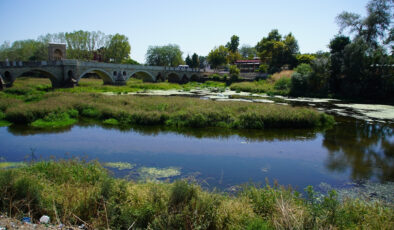 Edirne’de kuraklık nedeniyle su akışının durduğu nehir ot öbekleriyle kaplandı