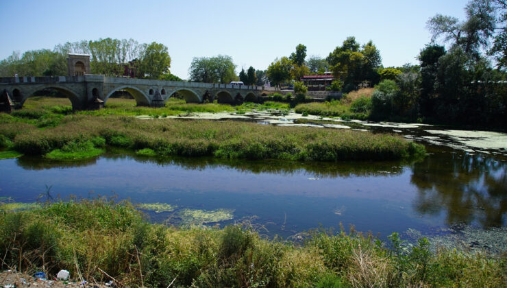 Edirne’de kuraklık nedeniyle su akışının durduğu nehir ot öbekleriyle kaplandı