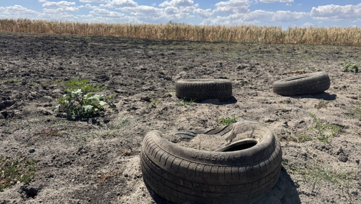 Edirne’deki Yağcılı Göleti kuraklık nedeniyle kurudu