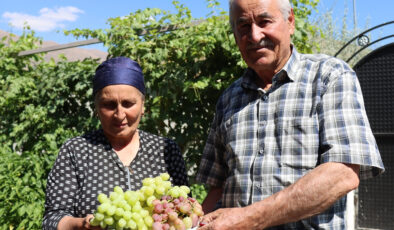 Erzincan’daki Ahıska Türkleri Ukrayna’dan Getirdikleri Üzümlerle Hayata Tutundu