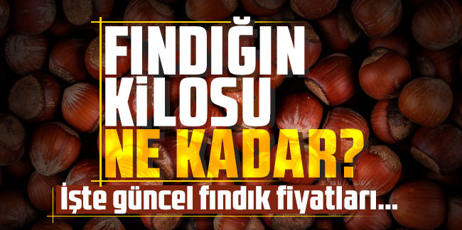 TMO Alım Fiyatları Açıklandı: Üreticinin Yüzü Güldü