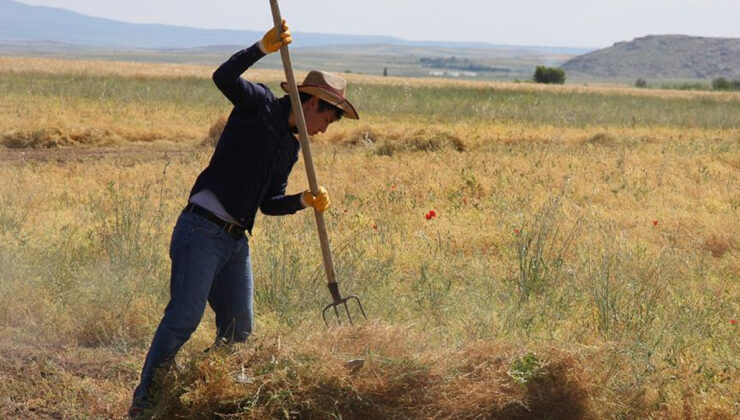 Gençlerin kırsala dönüşü teşvik etmek için hazırlık yapılıyor