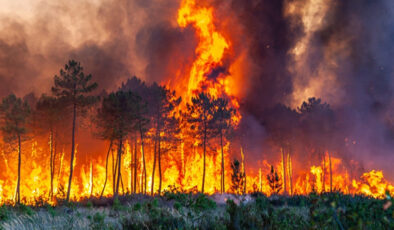 İklim değişikliği Türkiye’de orman yangınlarına yol açan hava koşullarını şiddetlendirdi
