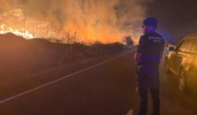 İspanya 14 farklı noktada orman yangını: 7 ölü