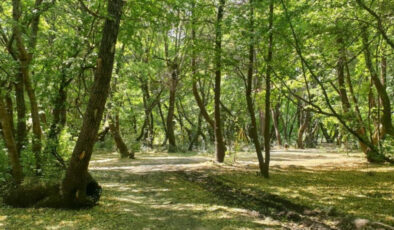 İstanbul Büyükçekmece’de özel endüstri bölgesi kurulacak