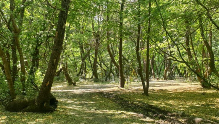 İstanbul Büyükçekmece’de özel endüstri bölgesi kurulacak