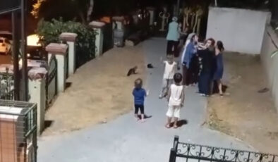 İstanbul’da parkta çocuklar arasındaki kavgaya anneler de dahil oldu