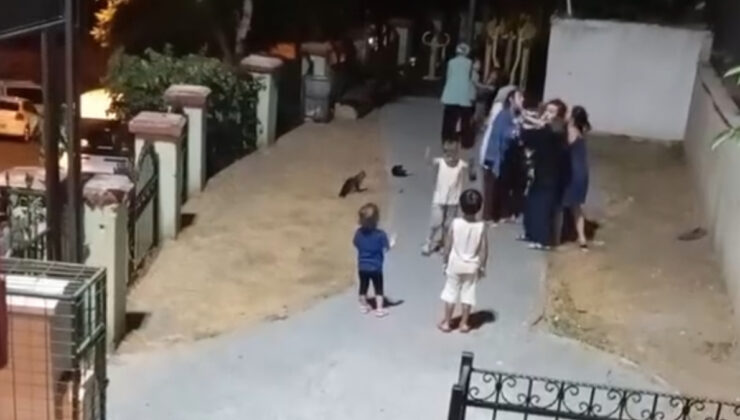 İstanbul’da parkta çocuklar arasındaki kavgaya anneler de dahil oldu