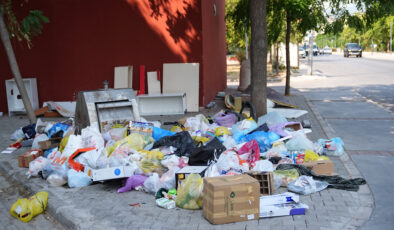 İzmir’de çöp dağları isyan ettirdi: Her yerde böcekler var