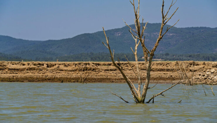 İzmir’de su tasarrufu çağrısı: Barajlar alarm veriyor