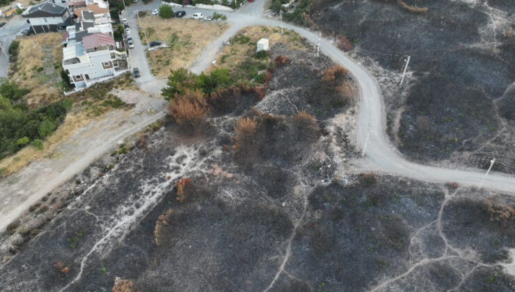 İzmir’de yanan alanlar drone’la görüntülendi