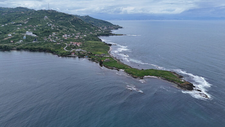 Karadeniz’in dijital ikizi oluşturulacak: Ekosistem korunacak