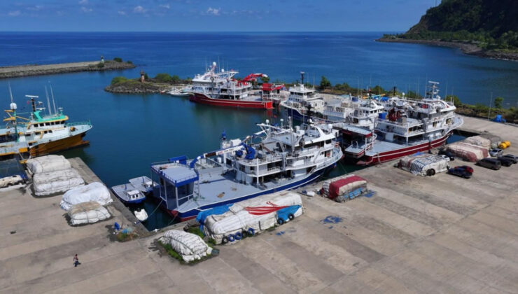 Karadenizli balıkçılar yeni sezonda hamsiden rekor bekliyor