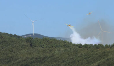 Kocaeli’de orman yangını kontrol altına alındı