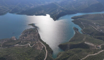 Manavgat’ta yanan ormanlık alanlar, yeşermeye başladı