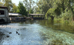 Muğla’da NASA’nın paylaştığı Kadın Azmağı’yı kuraklık vurdu