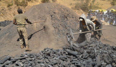 Muş’ta mangal kömürünün alın teri yolculuğu