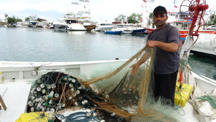 Ordu’da balıkçılar 1 Eylül’ü bekliyor: Hamsi için umutlular