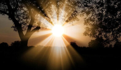 Orman Genel Müdürlüğü, iklim değişikliği ile mücadele için 5 yıllık yol haritası hazırladı