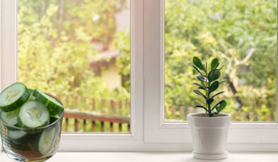 Sırbistan’da pencere önlerine salatalık dizilmesinin nedeni bakın neymiş…