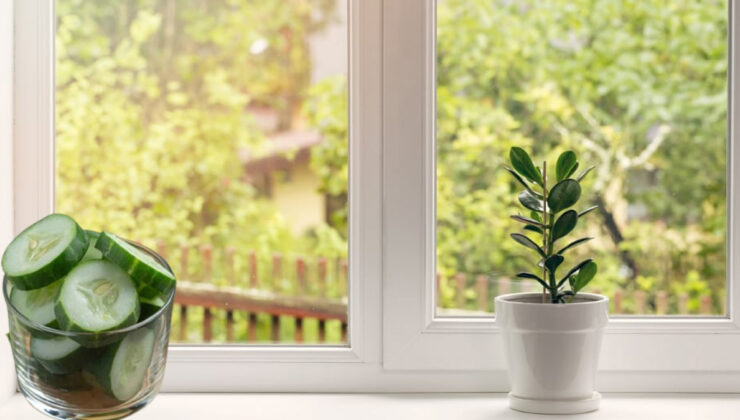 Sırbistan’da pencere önlerine salatalık dizilmesinin nedeni bakın neymiş…