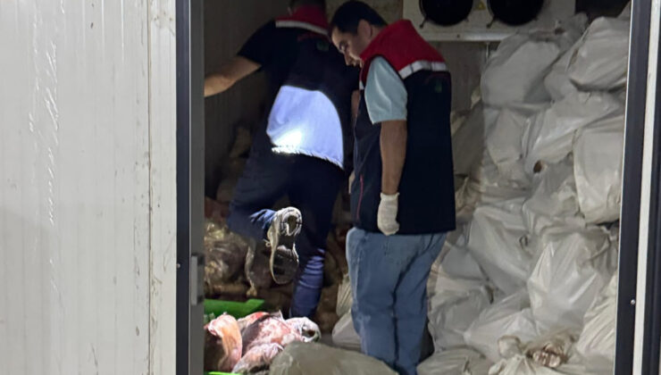 Şırnak’ta 3 ton kaçak et ele geçirildi