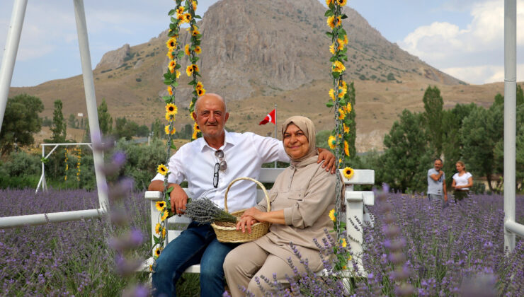 Sivas’ta aşık olduğu dağın eteğine lavanta bahçesi kurdu