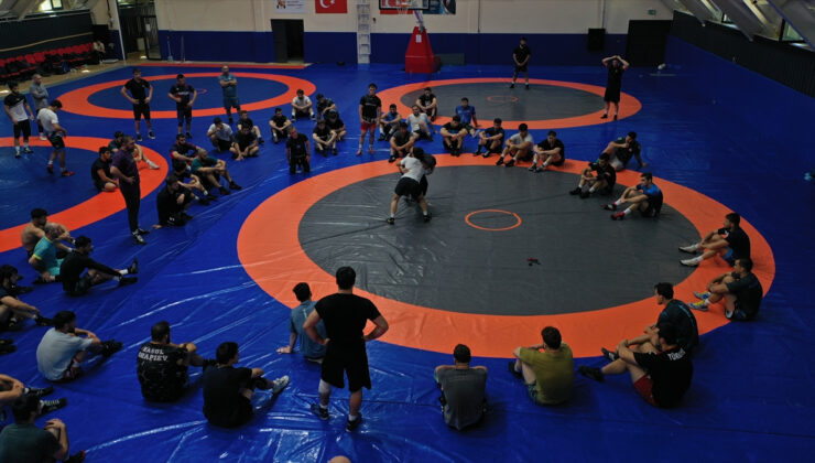 Taha Akgül, güreşe altın çağını yaşatmak istiyor