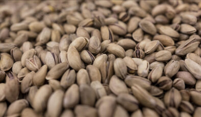 Fıstık Fiyatlarına Denetim: Gaziantep ve Şanlıurfa’da Stok ve Faturalar İncelendi